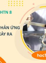 Dấu hiệu có phản ứng hóa học xảy ra - KHTN 8  -  Hoc10